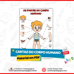 Cartaz do Corpo Humano para Imprimir – Educação Infantil