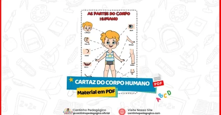 Cartaz do Corpo Humano para Imprimir – Educação Infantil