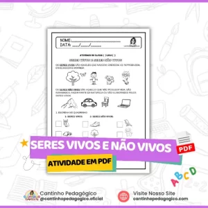 Atividade sobre seres vivos e não vivos para educação infantil