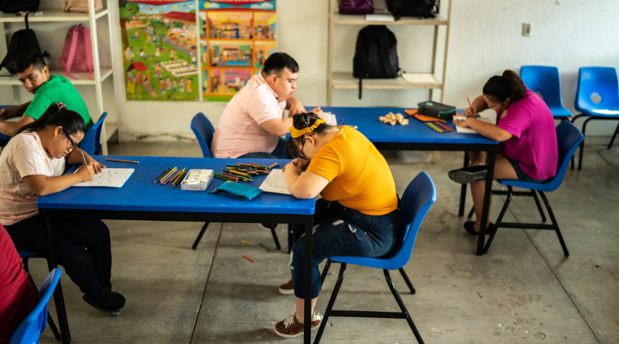 Educação Especial e Inclusão Escolar: Teorias e Práticas