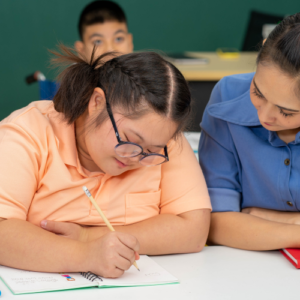 Educação Especial na Atualidade: Desafios e Oportunidades